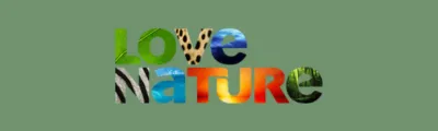 Love Nature